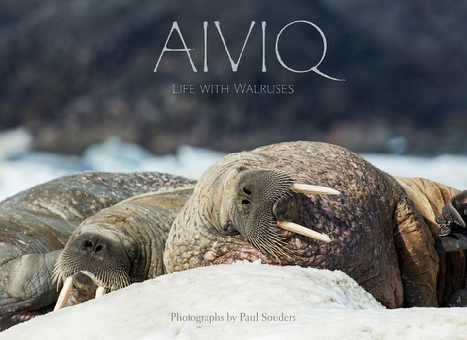 Aiviq: Life with Walruses by Paul Souders