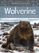 Animals Illustrated: Wolverine by Allen Niptanatiak