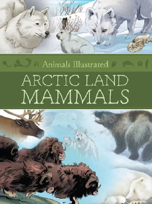 Animals Illustrated: Arctic Land Mammals by Inhabit Media