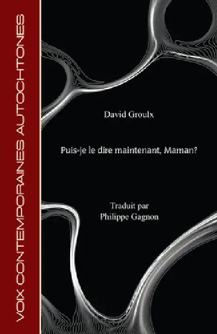 Puis-je le dire maintenant, Maman? by David Groulx, Philippe Gagnon