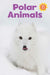 Polar Animals Big Book: English Edition by Jessie Hale