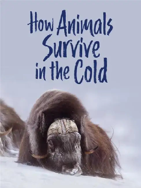 How Animals Survive in the Cold by Kelly Graham