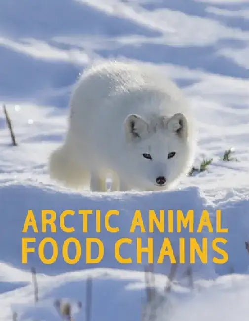 Arctic Animal Food Chains by Jordan Hoffman