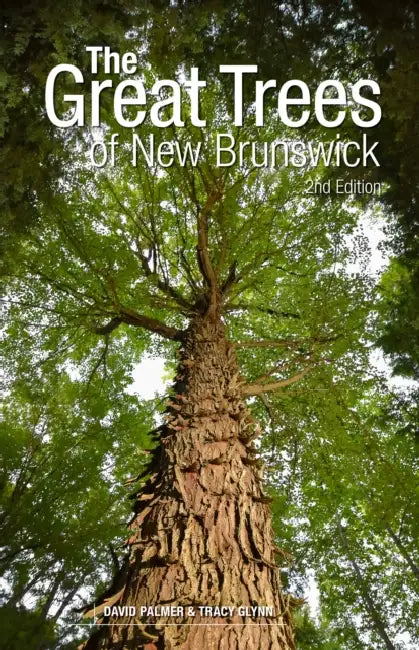 The Great Trees of New Brunswick, 2nd Edition by David Palmer, Tracy Glynn, Arielle Demerchant