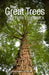 The Great Trees of New Brunswick, 2nd Edition by David Palmer, Tracy Glynn, Arielle Demerchant
