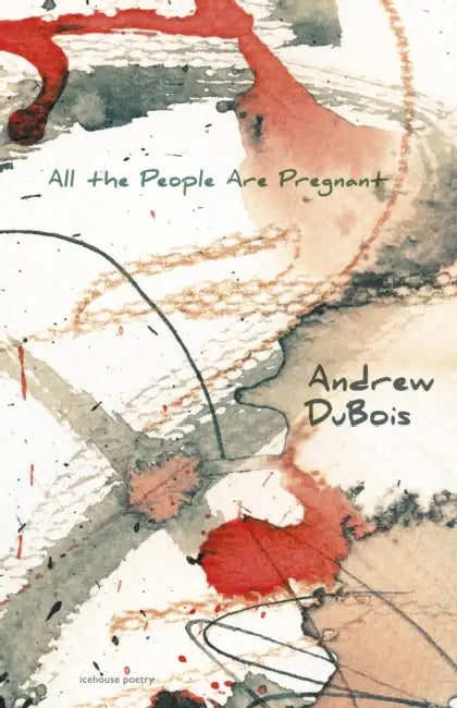 All the People Are Pregnant by Andrew DuBois