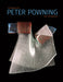 Peter Powning: A Retrospective / Une Rétrospective by John LeRoux