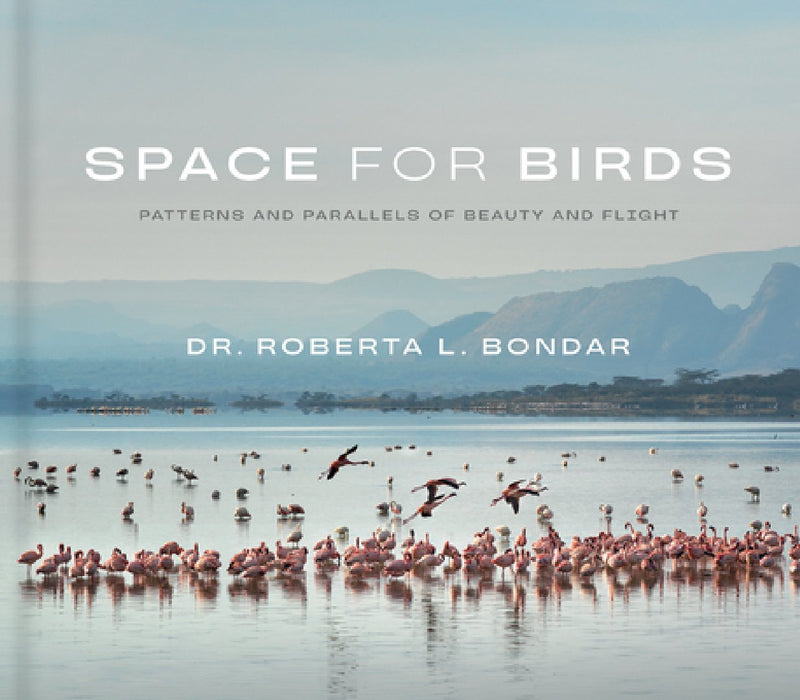 Space for Birds: Patterns and Parallels of Beauty and Flight