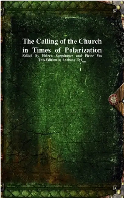 The Calling of the Church in Times of Polarization by Zorgdrager, Heleen