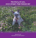 The Story of Lexi: And A Dream That Follows Her by Maureen Wild