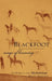 Blackfoot Ways of Knowing: The Worldview of the Siksikaitsitapi by Betty Bastien, Jurgen W. Kremer, Duane Mistaken Chief