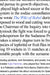 The Wiki of Babel by Kyle Flemmer