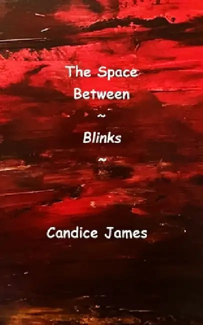 The Space Between Blinks by Candice James