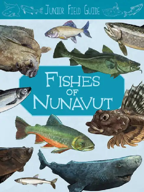 Junior Field Guide: Fishes of Nunavut: English Edition by Jordan Hoffman