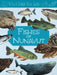 Junior Field Guide: Fishes of Nunavut: English Edition by Jordan Hoffman