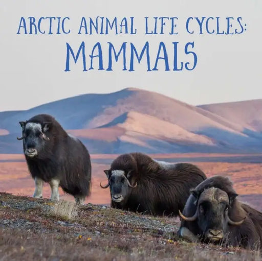 Arctic Animal Life Cycles: Mammals: English Edition by Jordan Hoffman, Athena Gubbe