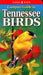 Compact Guide to Tennessee Birds by Michael Roedel