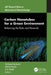 Carbon Nanotubes for a Green Environment: Balancing the Risks and Rewards by Shrikaant Kulkarni