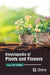 Encyclopedia of Plants and Flowers by N. C. Gautam