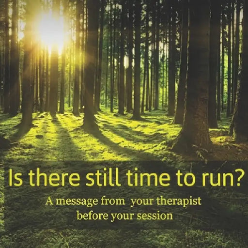 Is there still time to run?: A message from your therapist before your session by Carolyn Klassen
