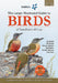 The Sasol Larger Illustrated Guide to Birds of Southern Africa (Revised Edition) by Ian Sinclair