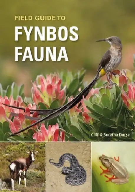 Field Guide to Fynbos Fauna by Cliff Dorse