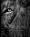 Reflection: Pocket Edition by Heinrich Van Den Berg