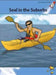 Seal in the Suburbs by Pam Holden, Samer Hatam