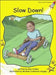 Slow Down! by Pam Holden, Michael Cashmore-Hingley