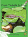 From Tadpole to Frog by Pam Holden