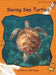 Saving Sea Turtles by Julie Suess