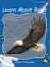 Learn about Birds Big Book Edition by Pam Holden