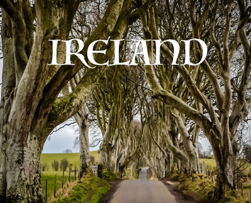 Ireland: Travel Book of Ireland by Elyse Booth