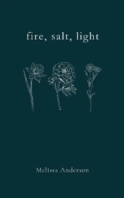 fire, salt, light by Melissa Anderson