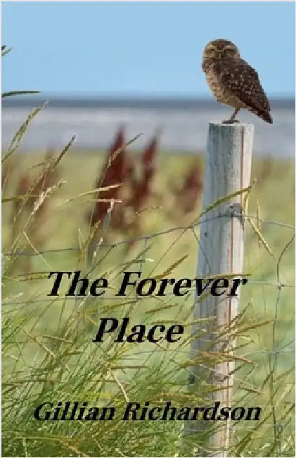 The Forever Place by Richardson, Gillian