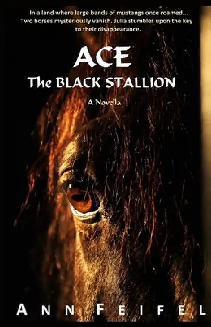 Ace, The Black Stallion by Ann Feifel