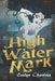 High Water Mark by Evelyn Chartres