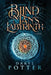 Blind Man's Labyrinth by Daryl Potter