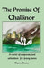 The Promise Of Challinor by Denny, Marne