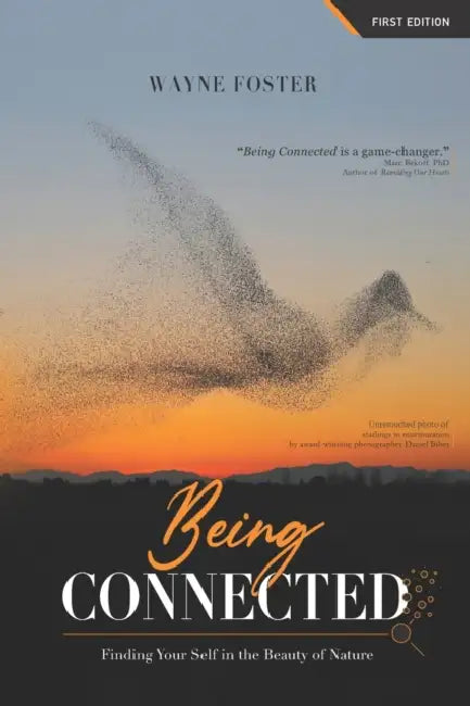 Being Connected