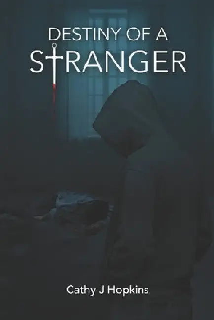 Destiny Of A Stranger by Hopkins, Cathy J.