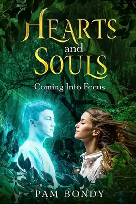 Hearts And Souls: Coming Into Focus by Pam J. Bondy