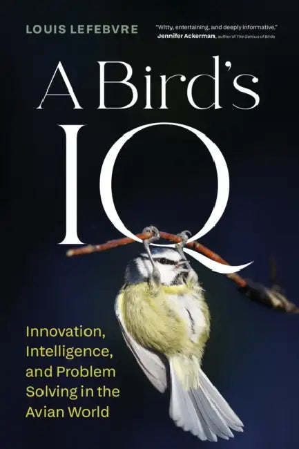 A Bird's IQ: Innovation, Intelligence, and Problem Solving in the Avian World by Louis Lefebvre, Pablo Strauss