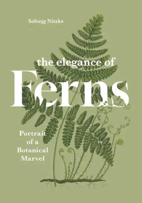 The Elegance of Ferns: Portrait of a Botanical Marvel by Solvejg Nitzke, Helge Dascher