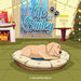 Life of Bailey: Bailey's First Holiday Season by Sensei Paul David