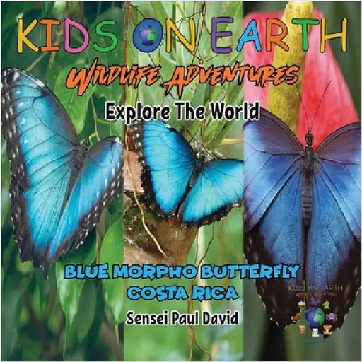 KIDS ON EARTH Wildlife Adventures - Explore The World: Blue Morpho Butterfly - Costa Rica by David, Sensei Paul