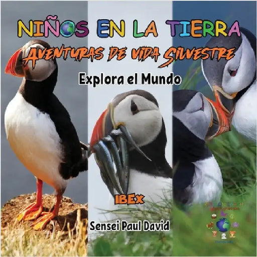 Niños en la Tierra Aventuras de vida Silvestre - Explora el Mundo Puffin - Iceland by David, Sensei Paul