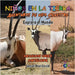 Niños en la Tierra: Aventuras de vida Silvestre - Explora el Mundo Arabian Oryx Antelope by David, Sensei Paul