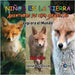 Niños en la Tierra Aventuras de vida Silvestre - Explora el Mundo Red Fox - Austria by David, Sensei Paul
