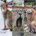 Niños en la Tierra - Aventuras de vida Silvestre - Explora el Mundo Euro Lynx by David, Sensei Paul